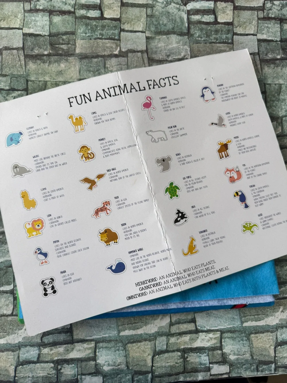 Felt World and US Maps